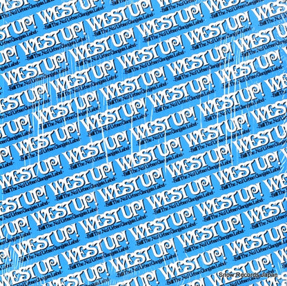 WESTUP-PRO-1 back cover