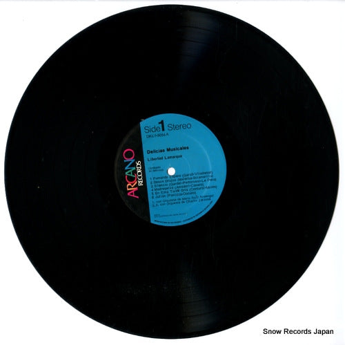 DKL1-3054 disc