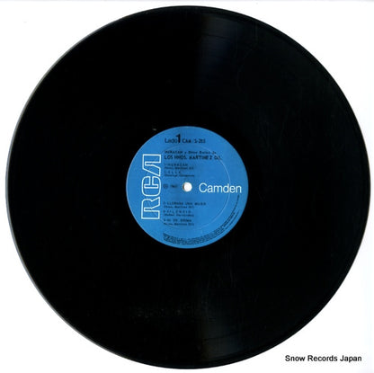 CAM-285 disc