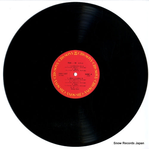 28AH1687 disc