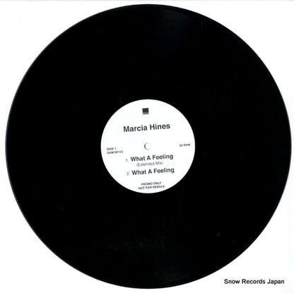 SAM00153 disc