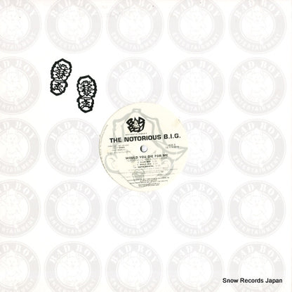 BBDP-9325 back cover