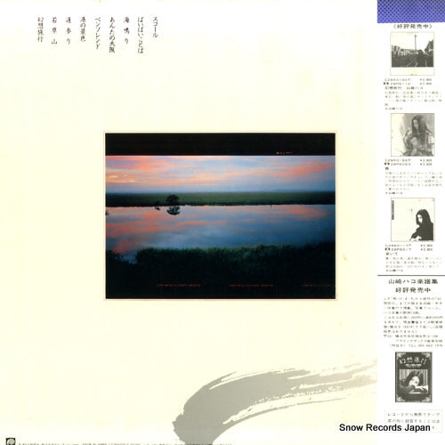 C28A0210 back cover