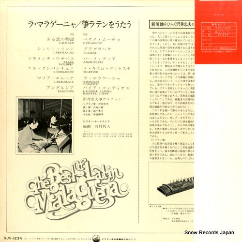 SJV-1234 back cover