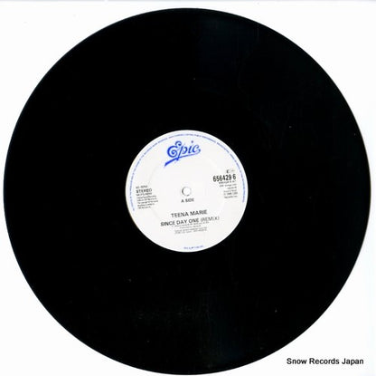 6564296 disc