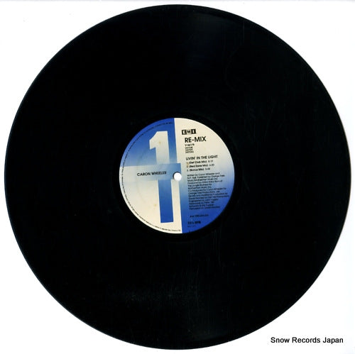 V-56175 disc