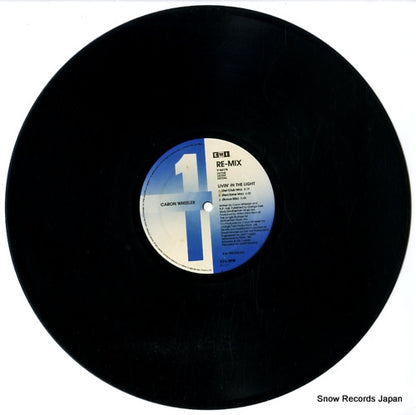 V-56175 disc