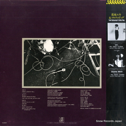 RL-3010 back cover