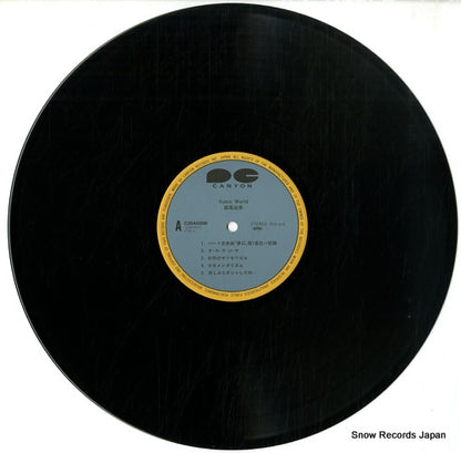 C28A0306 disc