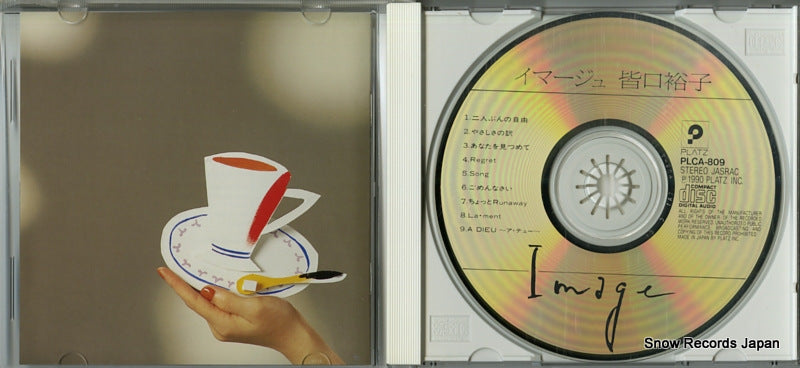 PLCA-809 disc
