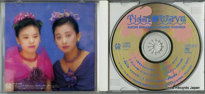 PICA-1046 disc