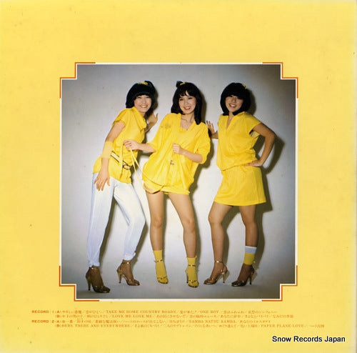38AH213 back cover