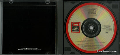 CC33-3493 disc