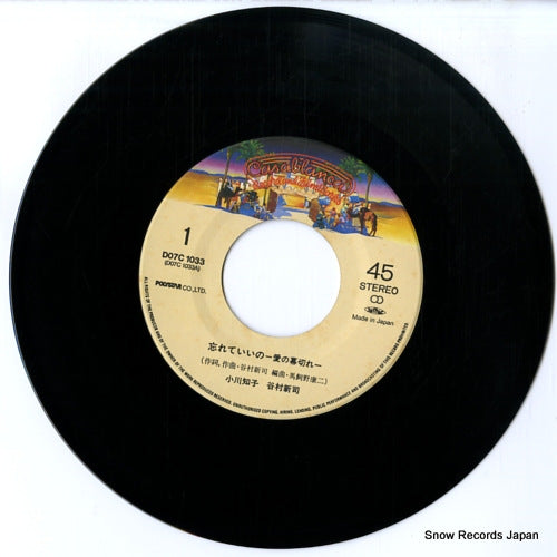 D07C-1033 disc