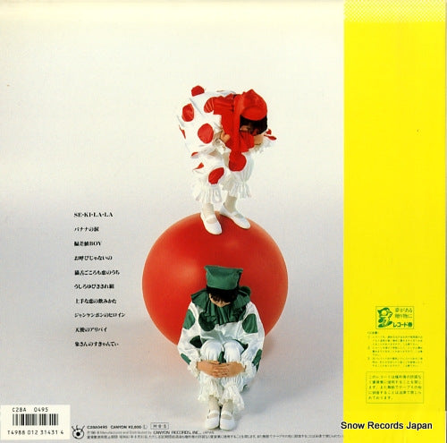 C28A0495 back cover