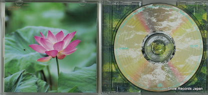 VICL-5260 disc