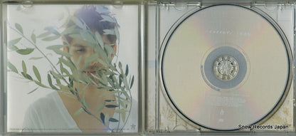 DFCL1280 disc