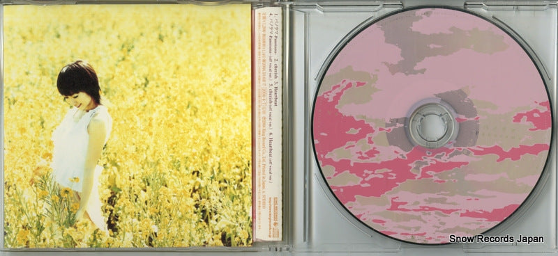 KICM1100 disc