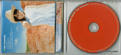 KICM1071 disc
