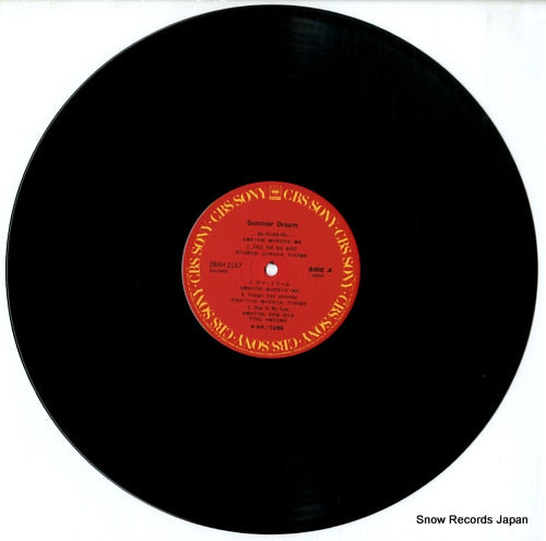 28AH2187 disc