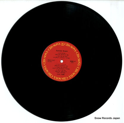28AH2187 disc
