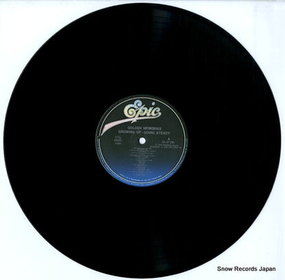 28.3P-380 disc