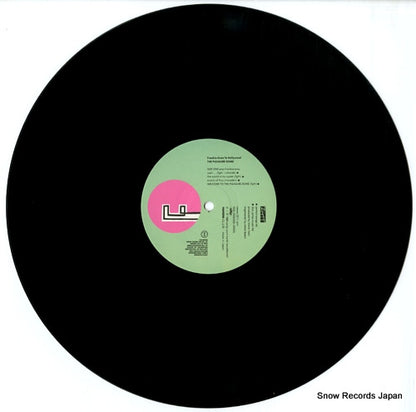 19SI-256 disc