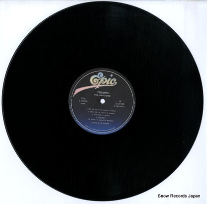 25.3P-239 disc