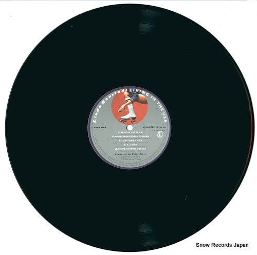 P-10521Y disc