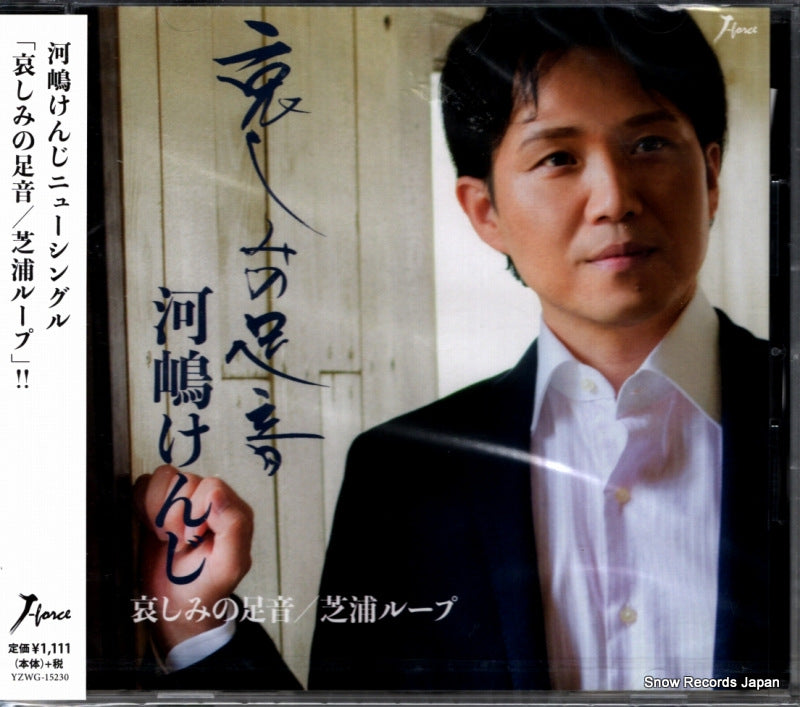 YZWG-15230 front cover