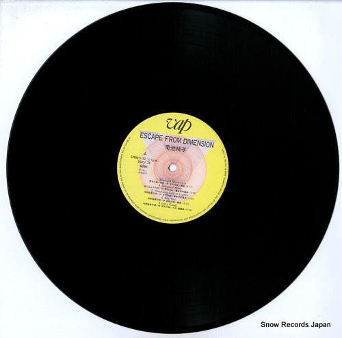 30207-28 disc