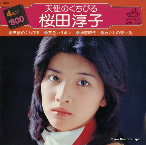 SVC-1032 front cover