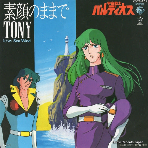 K07S-251 front cover