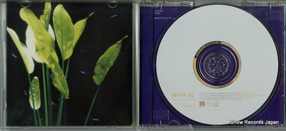 WPC6-8394 disc