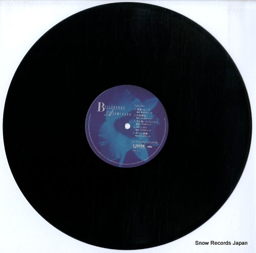 UL-13 disc