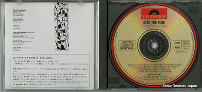 P33P-20048 disc