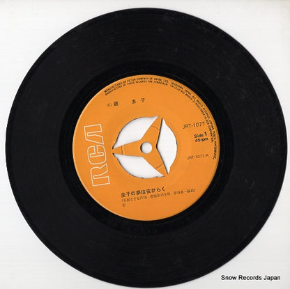 JRT-1077 disc