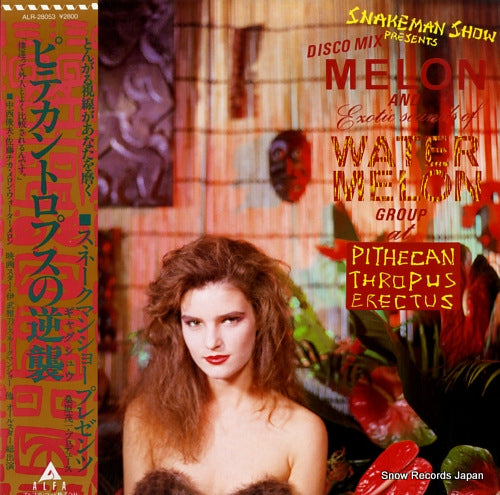 ALR-28053 front cover