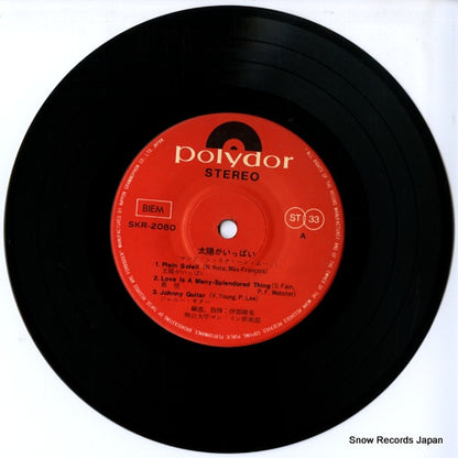 SKR-2080 disc