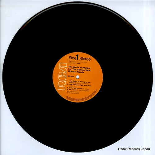 RVL-5507 disc