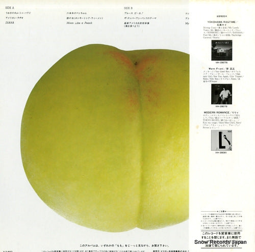 VIH-28087 back cover