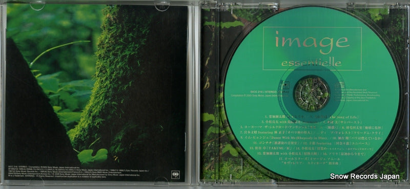 SICC218 disc