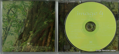 SICC181 disc
