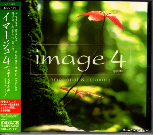 SICC181 front cover