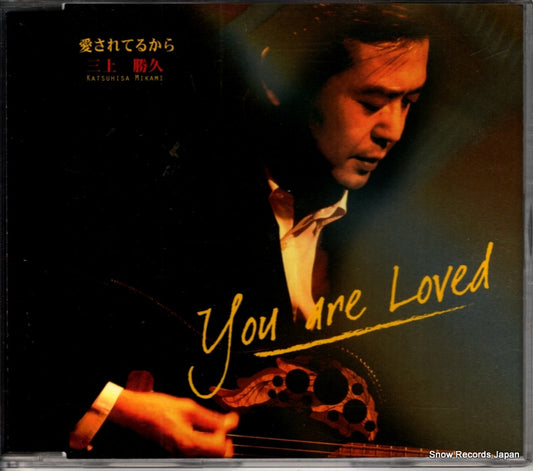 WLP-LK48311 front cover