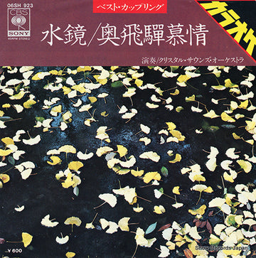 06SH923 front cover