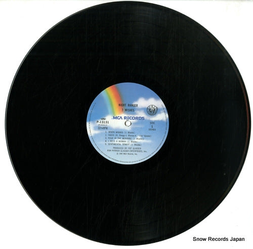 P-13131 disc