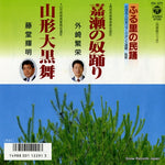 FH-371 front cover