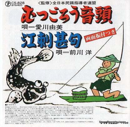 CS-828 front cover