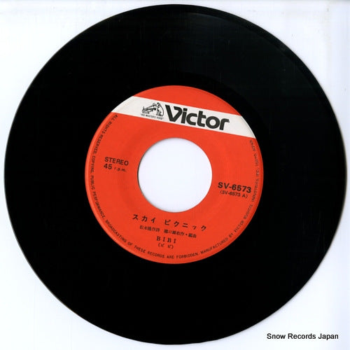 SV-6573 disc